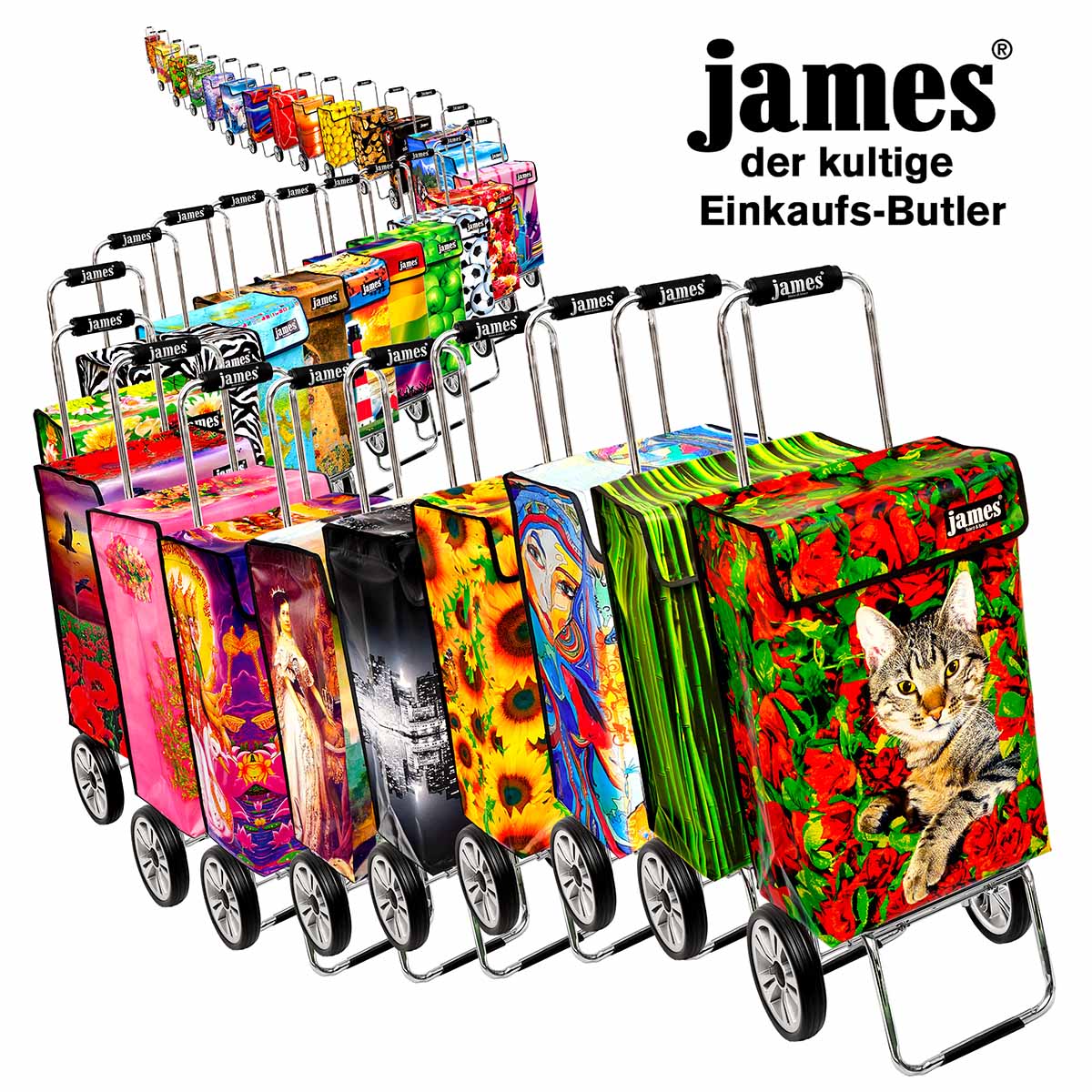 James Einkaufsbutler