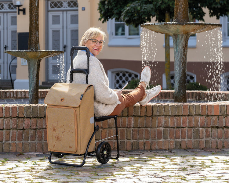 Komfort Shopper-www.shopping-trolley.ch