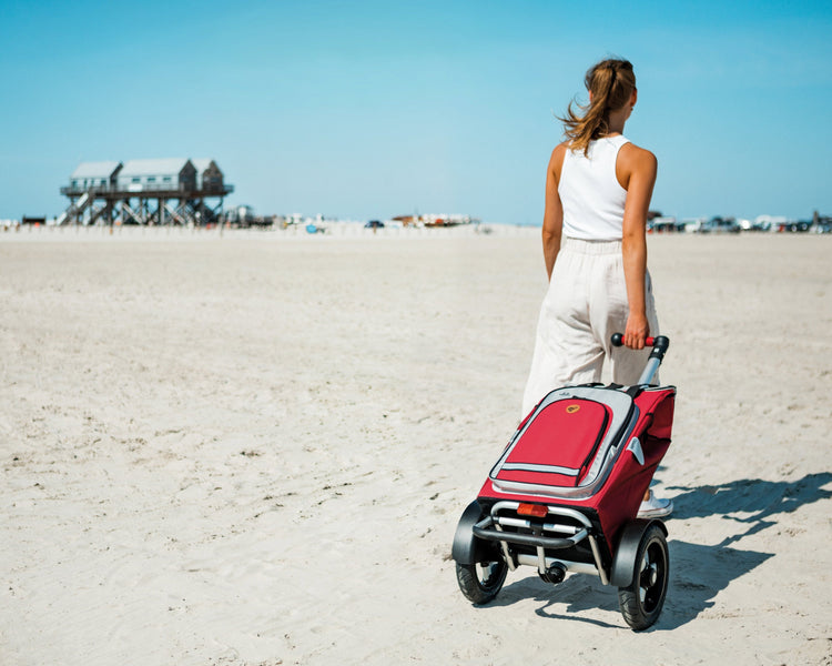 Tura Shopper-www.shopping-trolley.ch