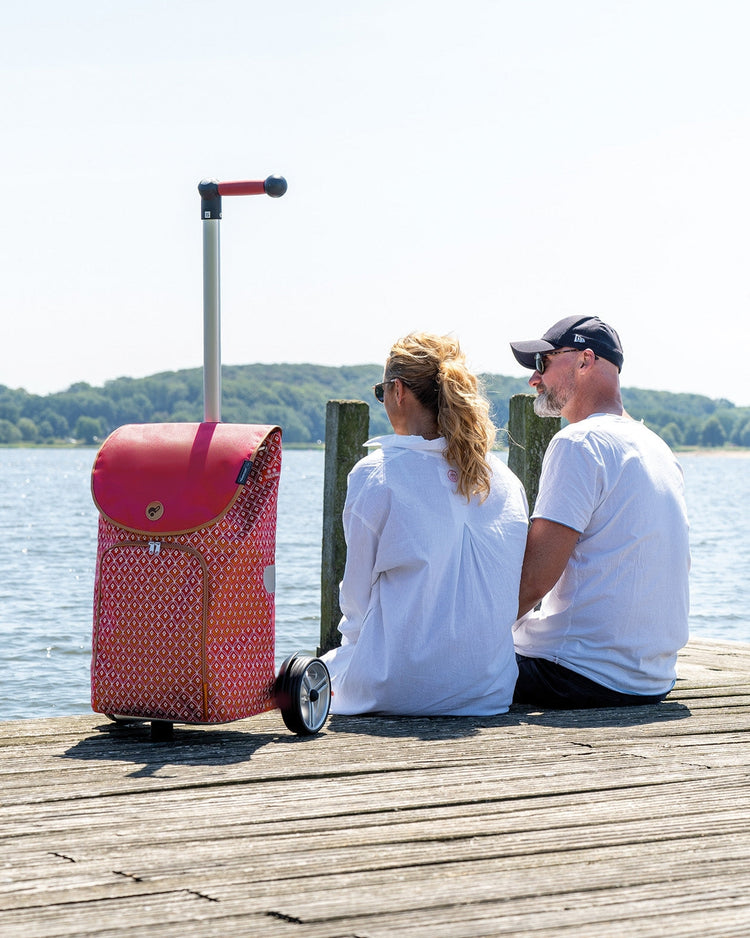 Unus Shopper Fun-www.shopping-trolley.ch