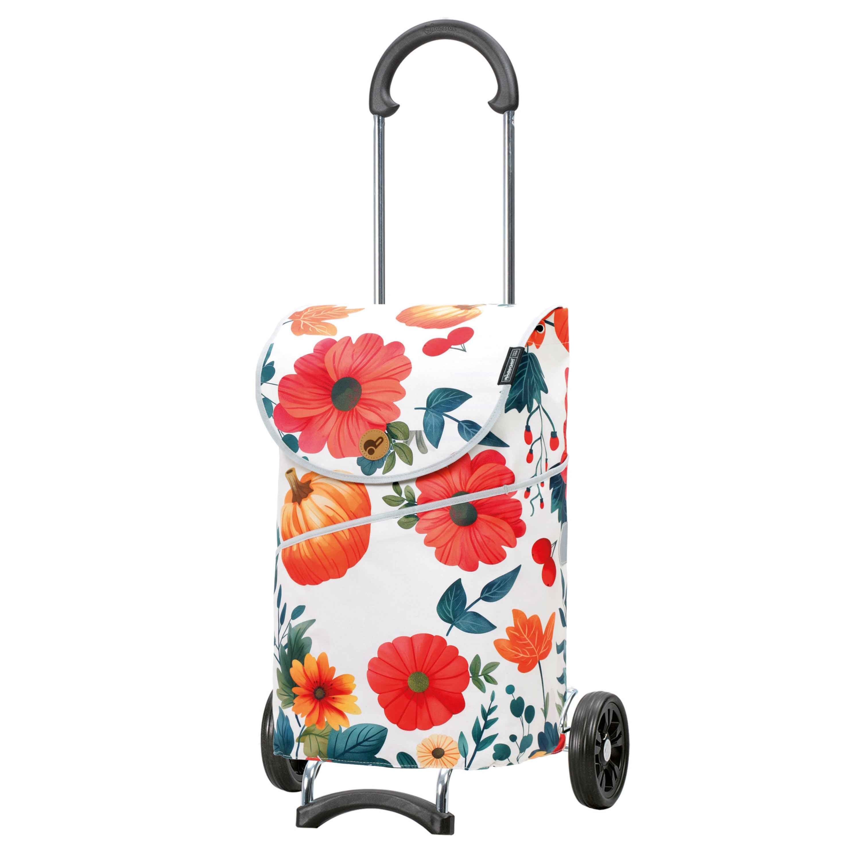 Scala Shopper MIX A41