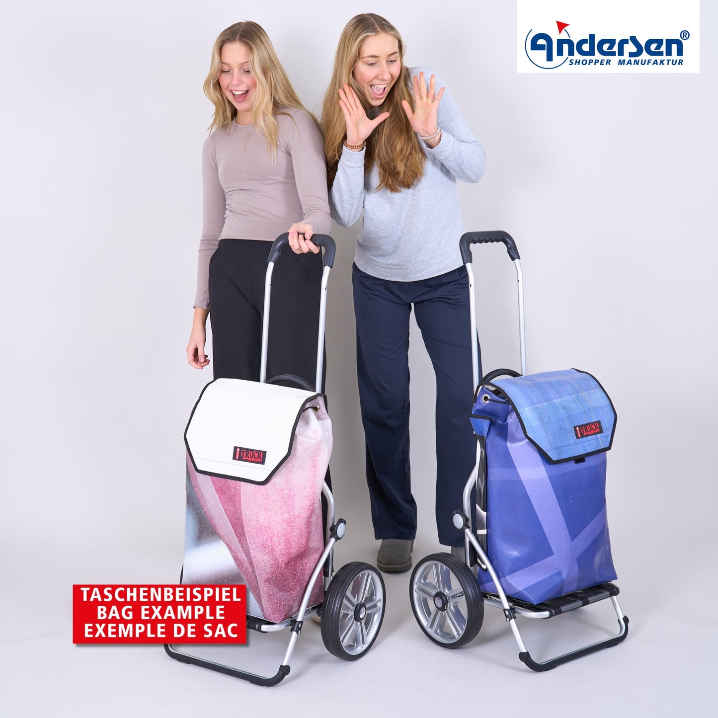 Royal Shopper (Kugellagerrad 25 cm) Truck A7