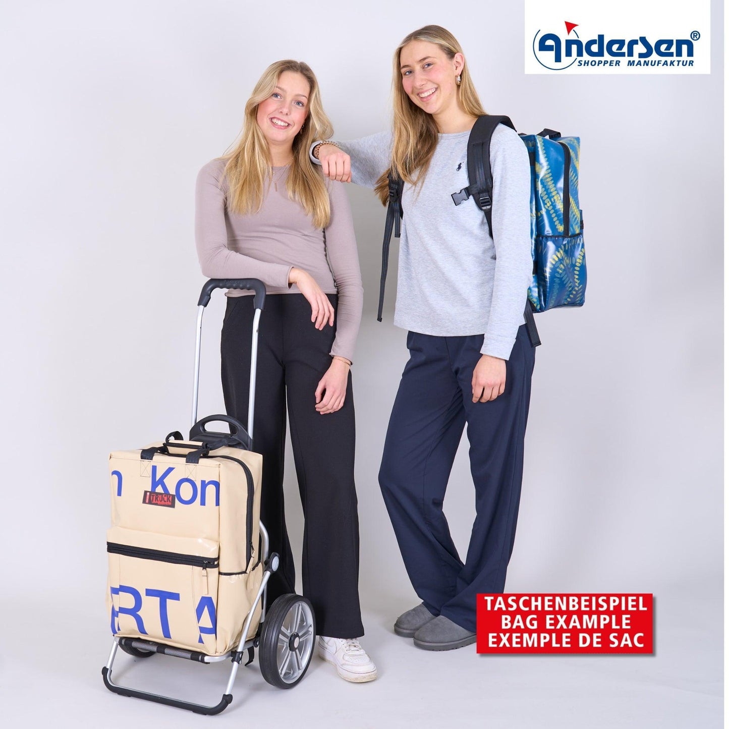 Royal Shopper (Kugellagerrad 25 cm) Truck A8