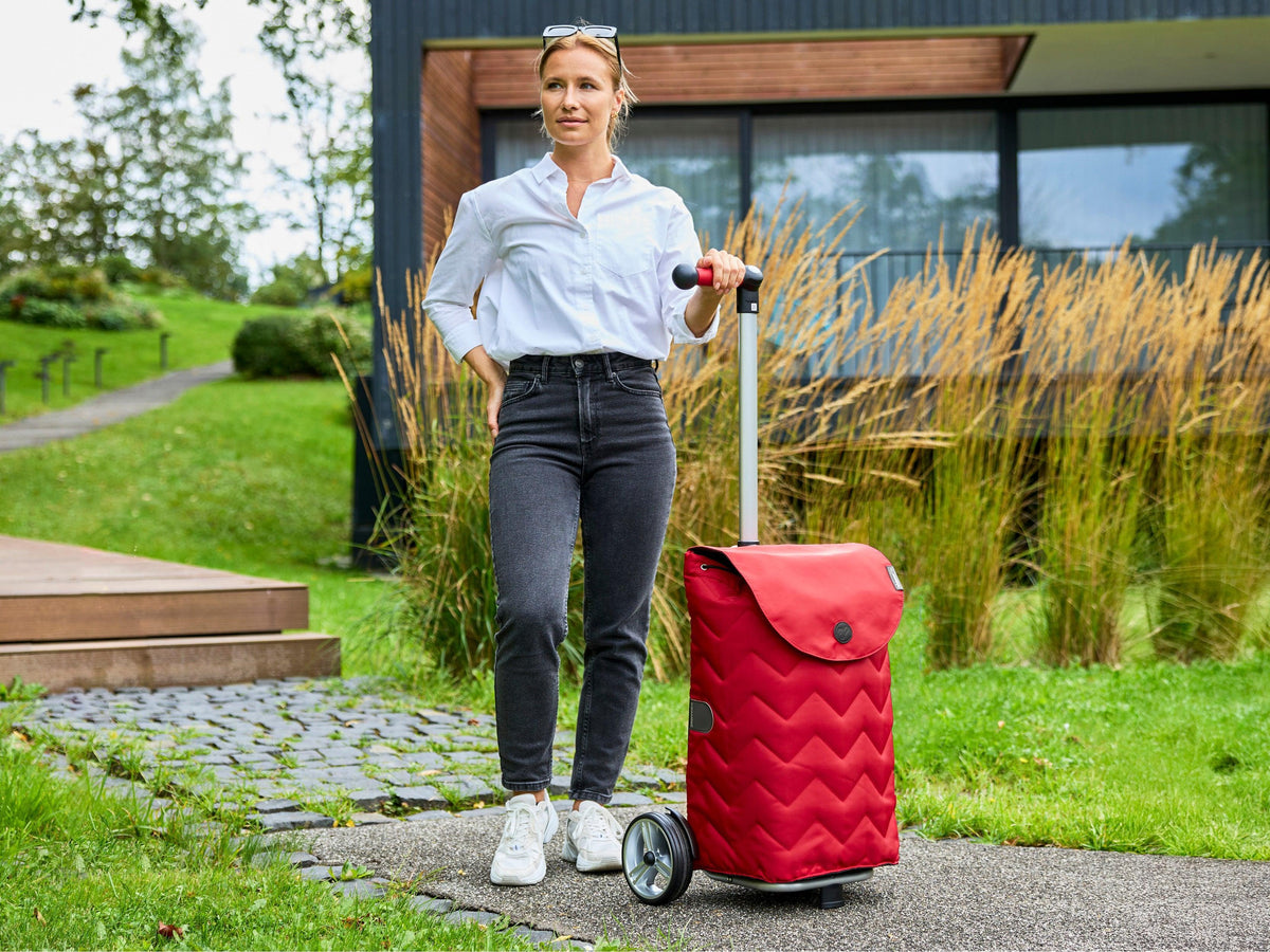 25_140-241-70_Hilma_image_katalog-shopping-trolley.ch