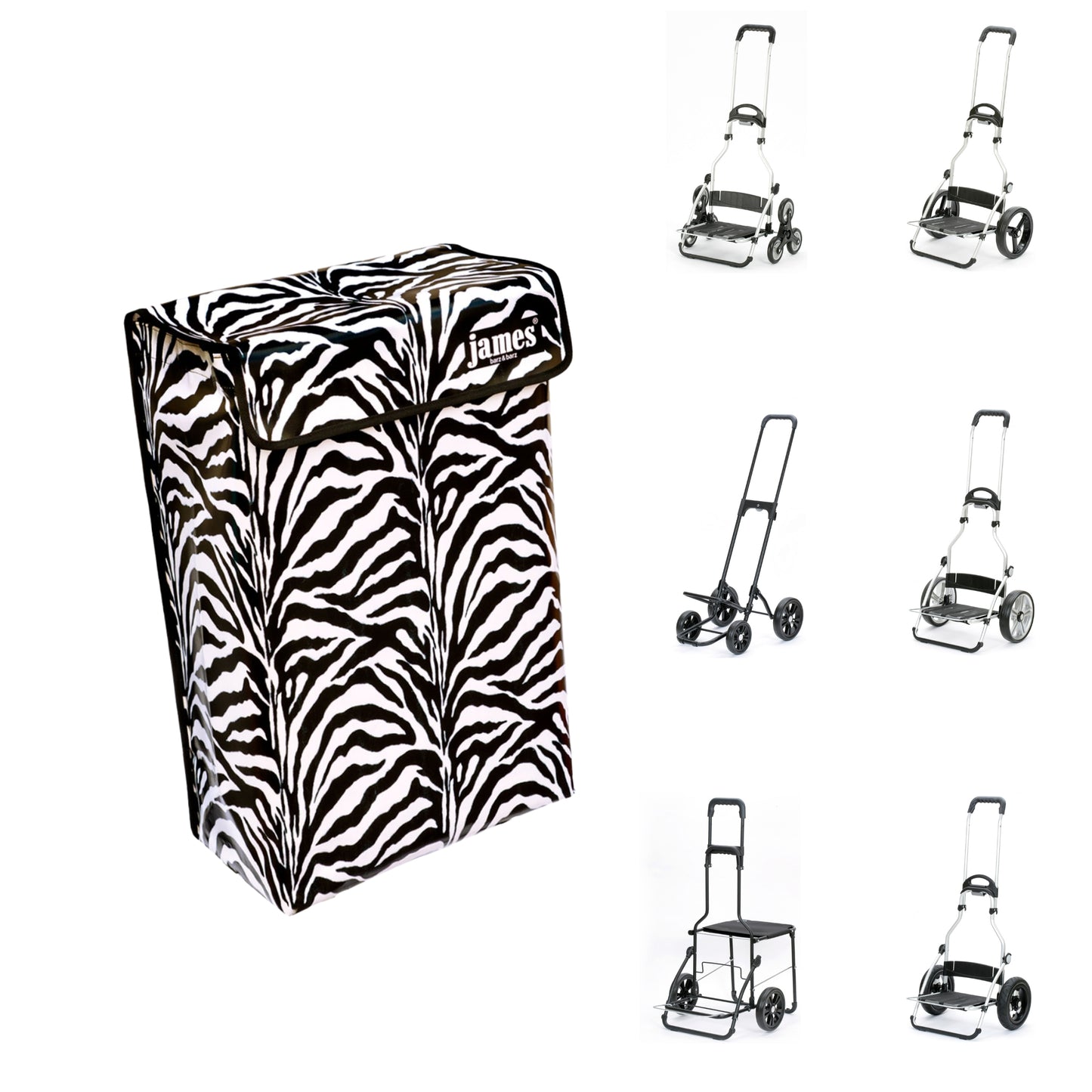 Zebra-James