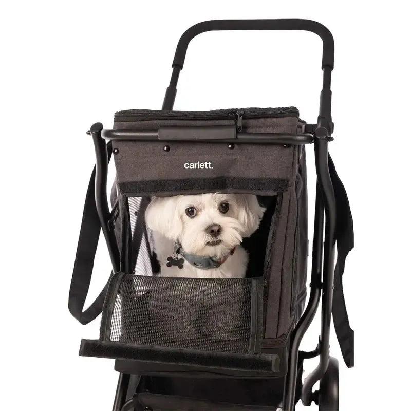 Cube P Pet Bag