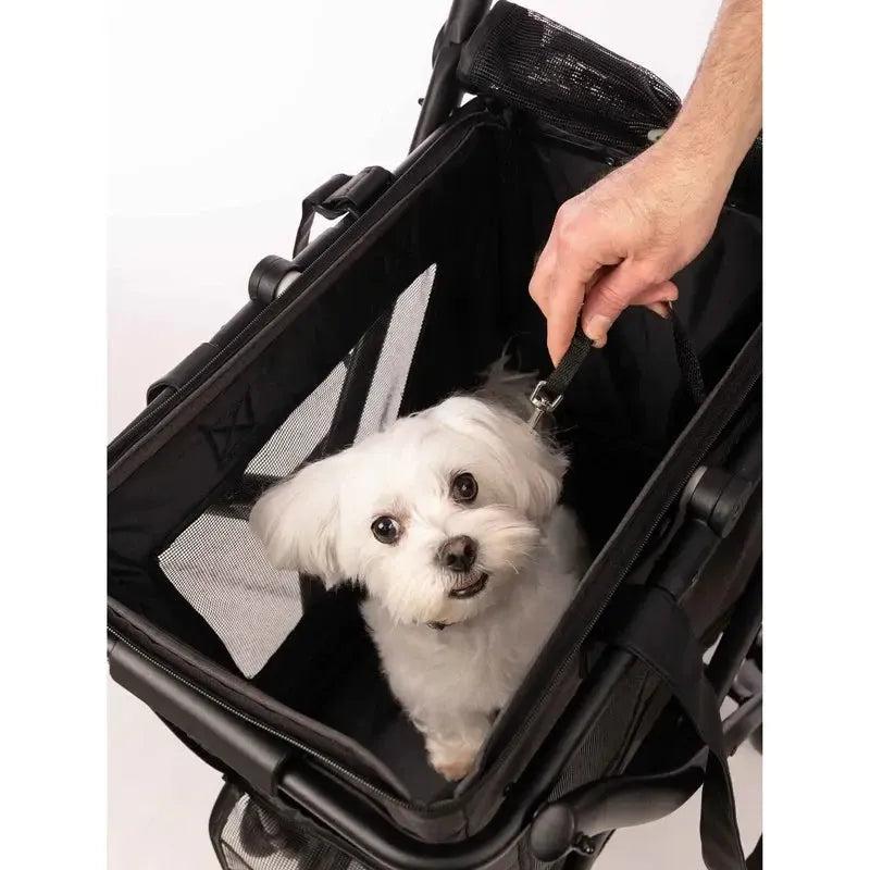 Cube P Pet Bag