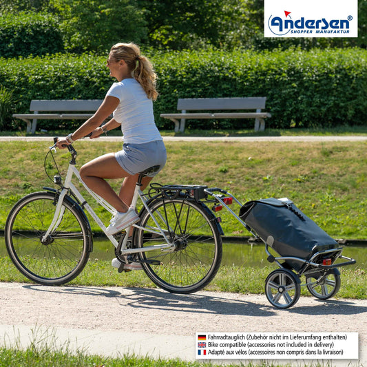 Royal Shopper Plus (Kugellagerrad 25 cm) Ortlieb - anthrazit