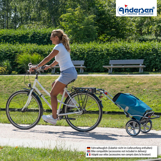 Royal Shopper Plus (Kugellagerrad 25 cm) Ortlieb - petrol
