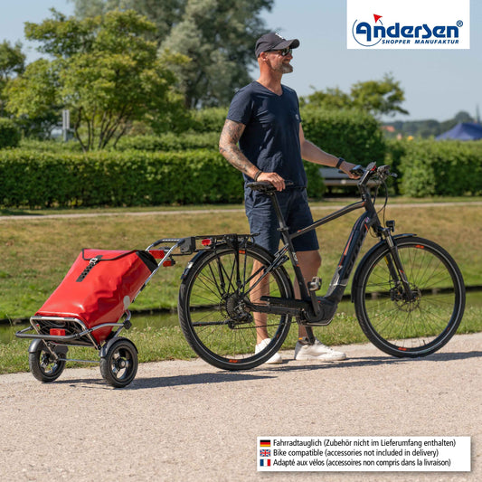 Royal Shopper Plus (Luft-Kugellagerrad 25 cm) Ortlieb - rot
