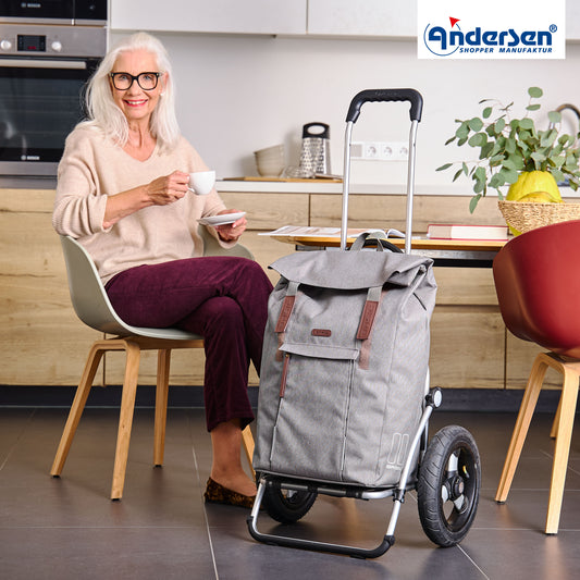 Andersen-Royal Shopper Basil City - Grau - Luft-Kugellagerrad 25 cm-shopping-trolley.ch