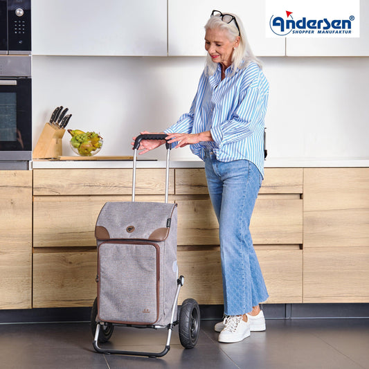 Andersen-Royal Shopper Holk - Grau - Luft-Kugellagerrad 25 cm-shopping-trolley.ch