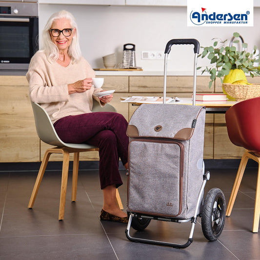 Andersen-Royal Shopper Holk - Grau - Luft-Kugellagerrad 29 cm-shopping-trolley.ch