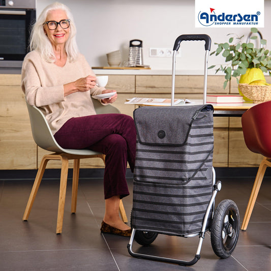 Andersen-Royal Shopper Jelke - Anthrazit - Luft-Kugellagerrad 29 cm-shopping-trolley.ch