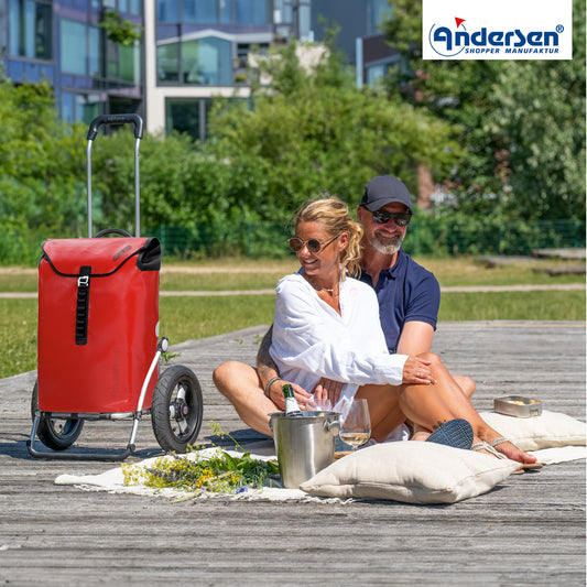 Andersen-Royal Shopper (Luft-Kugellagerrad 29 cm) Ortlieb - rot-shopping-trolley.ch