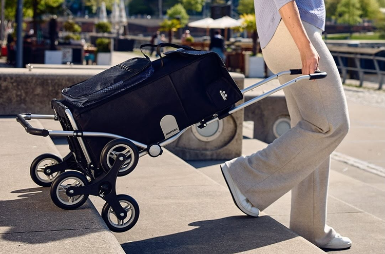 Treppensteiger-www.shopping-trolley.ch