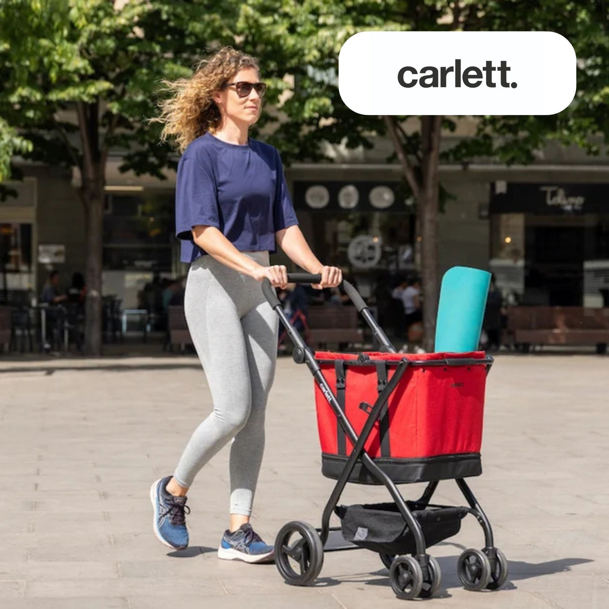 Carlett Trolleys
