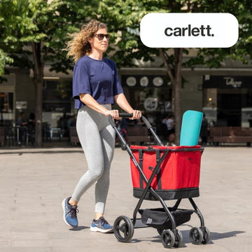 Carlett Trolleys