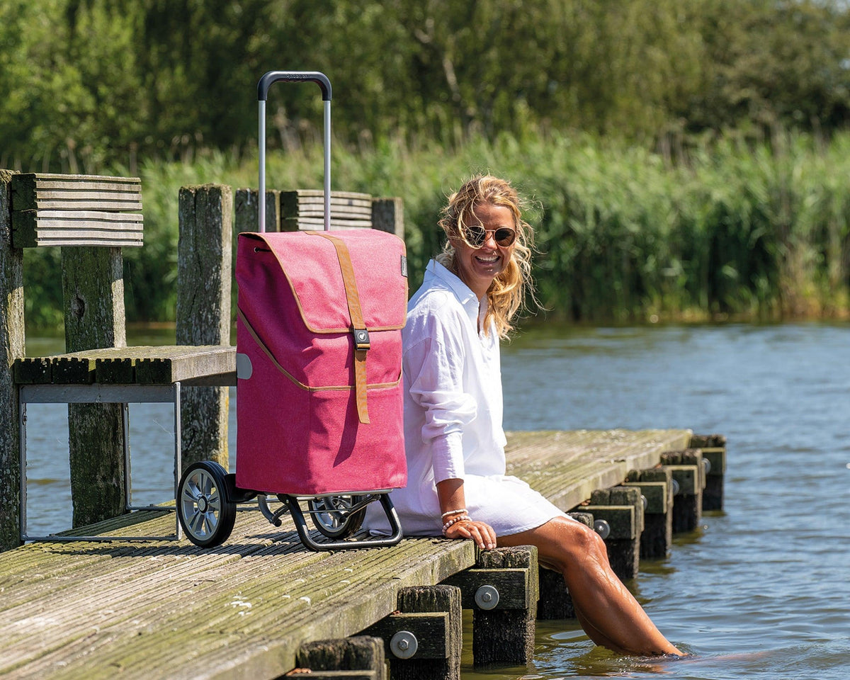 Alu Star Shopper-shopping-trolley.ch