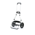 Châssis Royal Shopper (roue pneumatique à roulement à billes 25 cm)