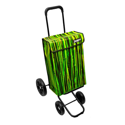 Bambus-James