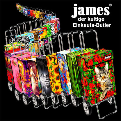 James Royal Shopper (Dreispeichenrad 25 cm) - versch. Designs
