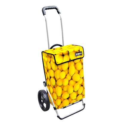 James Royal Shopper (Dreispeichenrad 25 cm) - versch. Designs