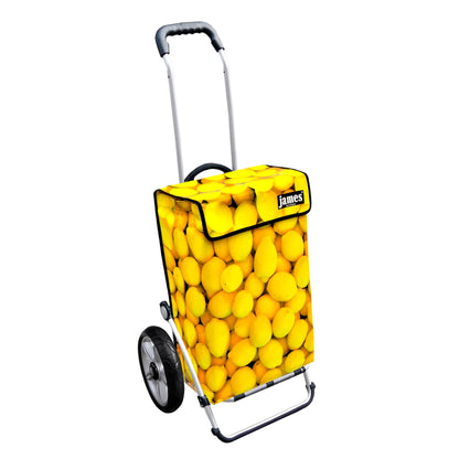 Lemon-James