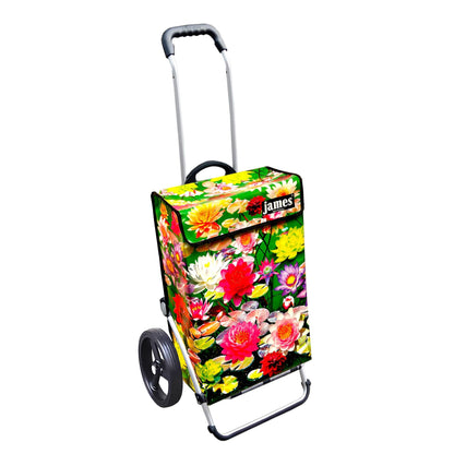 James Royal Shopper (Dreispeichenrad 25 cm) - versch. Designs