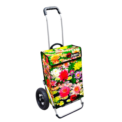 James Royal Shopper (Luft-Kugellagerrad 25 cm) - versch. Designs