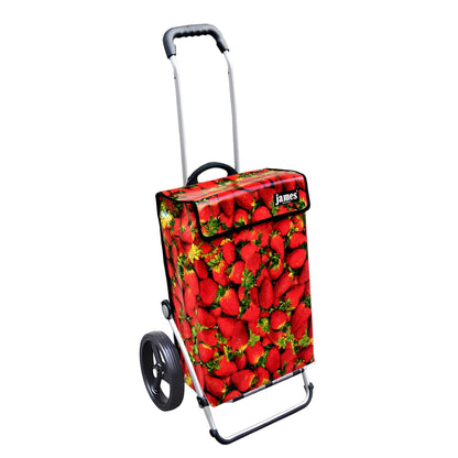 James Royal Shopper (Dreispeichenrad 25 cm) - versch. Designs