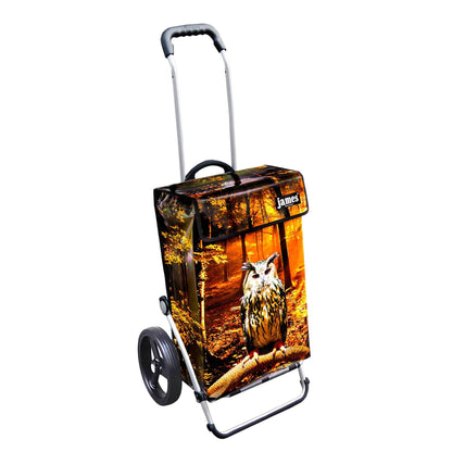 James Royal Shopper (Dreispeichenrad 25 cm) - versch. Designs