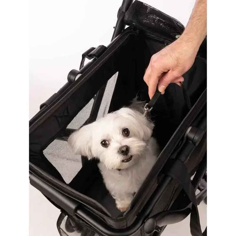 Cube P Haustiertasche