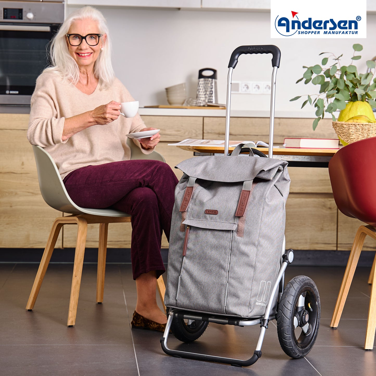 Andersen-Royal Shopper Basil City - Grau - Luft-Kugellagerrad 29 cm-shopping-trolley.ch