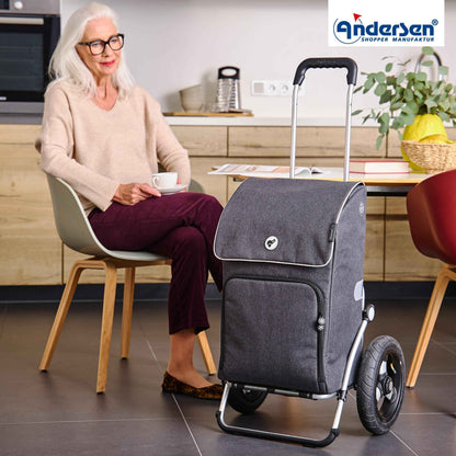 Royal Shopper Ipek Maxi - Anthrazit - Luft-Kugellagerrad 29 cm