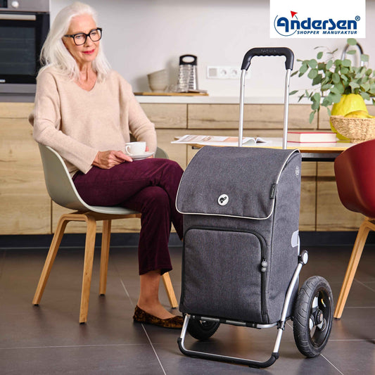 Royal Shopper Ipek Maxi - Anthrazit - Luft-Kugellagerrad 29 cm