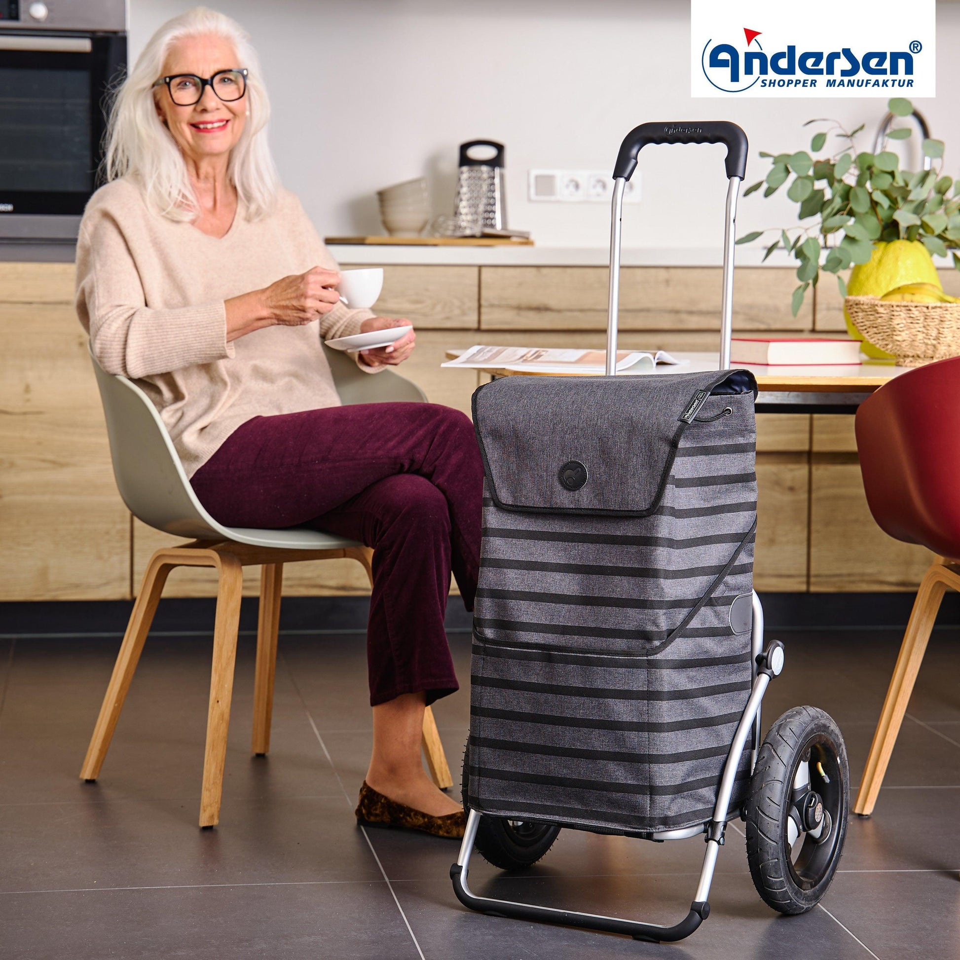 Andersen-Royal Shopper Jelke - Anthrazit - Luft-Kugellagerrad 29 cm-shopping-trolley.ch
