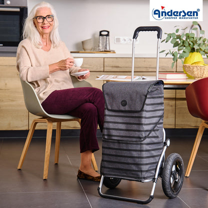 Andersen-Royal Shopper Jelke - Anthrazit - Luft-Kugellagerrad 29 cm-shopping-trolley.ch