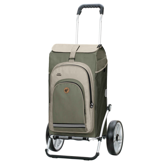 Royal Shopper (Kugellagerrad 25 cm) Hydro 2.1 - grau