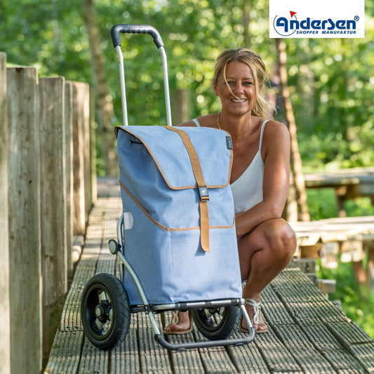 Royal Shopper (Luft-Kugellagerrad 25 cm) Auke - flieder