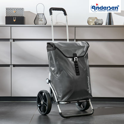 Andersen-Royal Shopper (Dreispeichenrad 25 cm) Ortlieb - anthrazit-shopping-trolley.ch