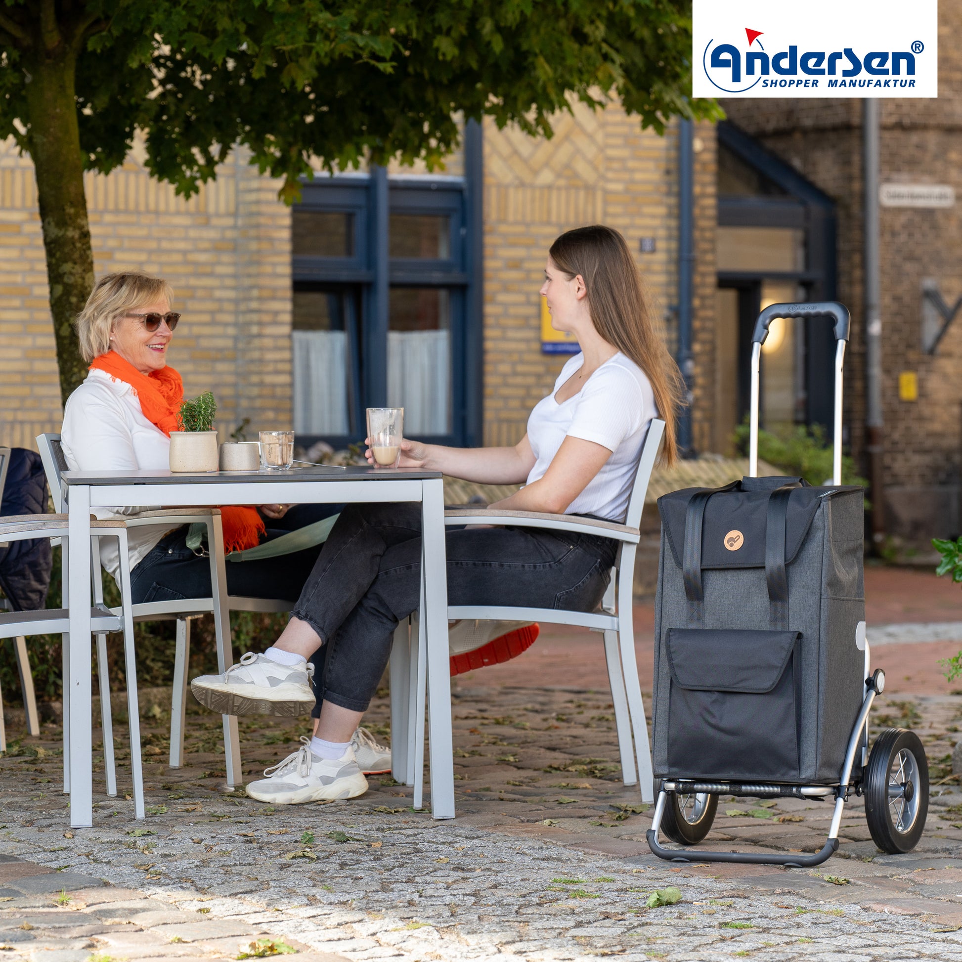 Andersen-Royal Shopper (Metallspeichenrad 25 cm) Senta 2.0 - schwarz-shopping-trolley.ch